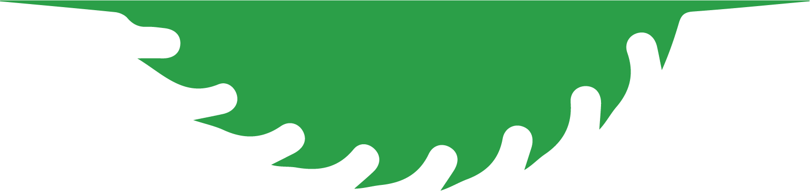 green saw blade dsl mills logo